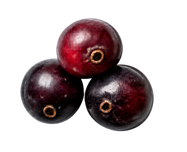 Davidson Plum