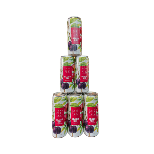 Blush Gin & Tonic Cans - Carton