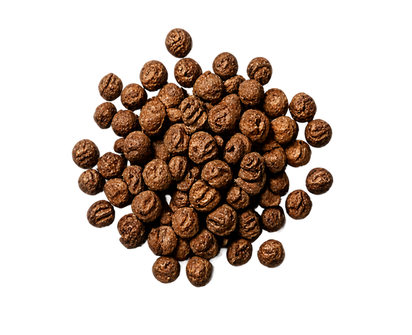 Grains of paradise 