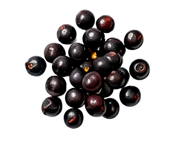 Native Currants