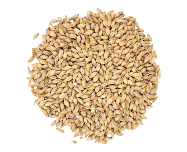 Pale Malt Barley