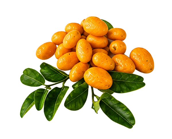 Sunrise lime